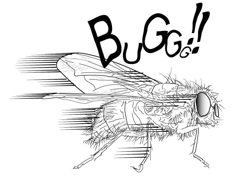 flying bug