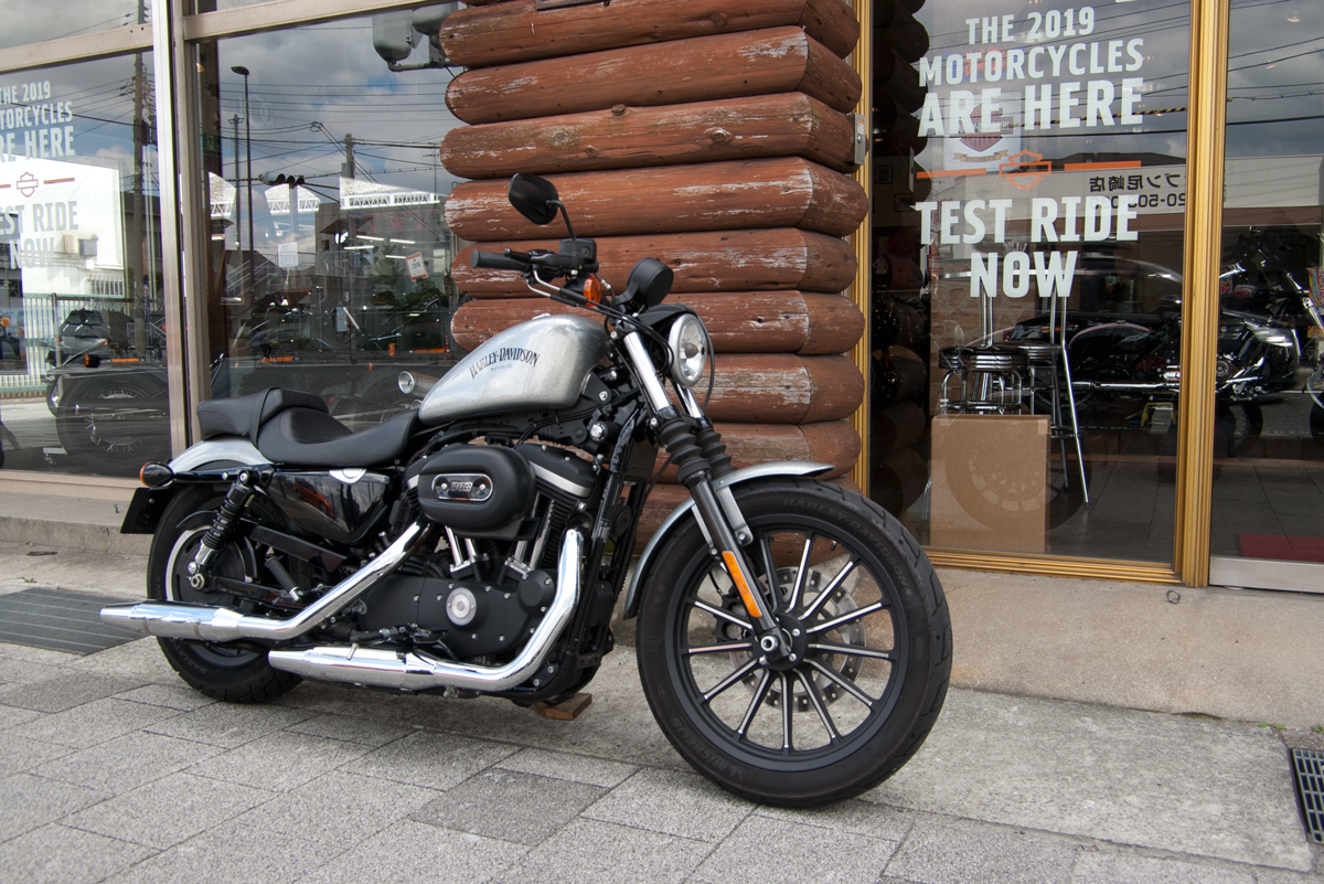 iron 883 キャンディーカラー